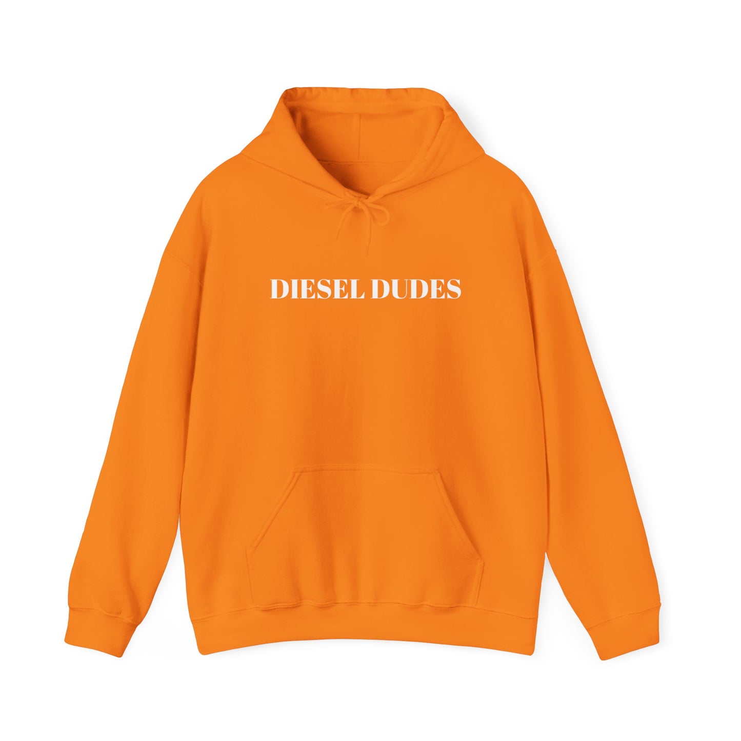 Diesel Dudes Hooded Sweatshirt